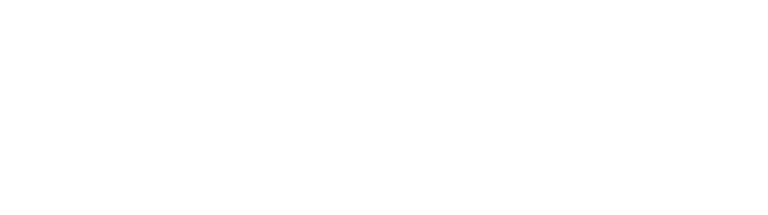 The Bridge