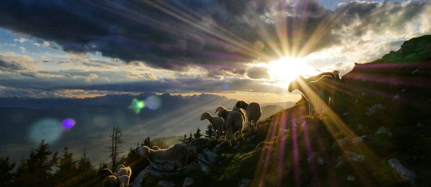 Photo Credit: Unsplash, Jaka Skrlep