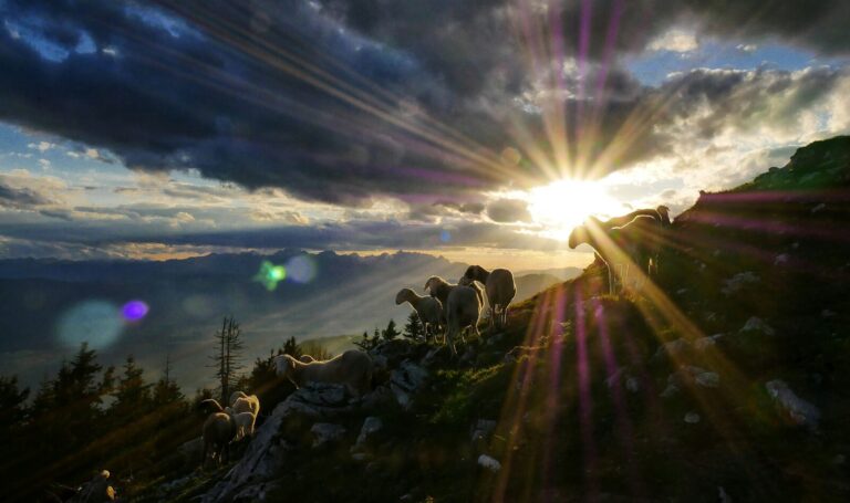 Photo Credit: Unsplash, Jaka Skrlep