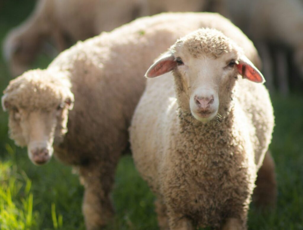 pon esakki sundar tEyNIoWrPTI unsplash scaled e1771524093753