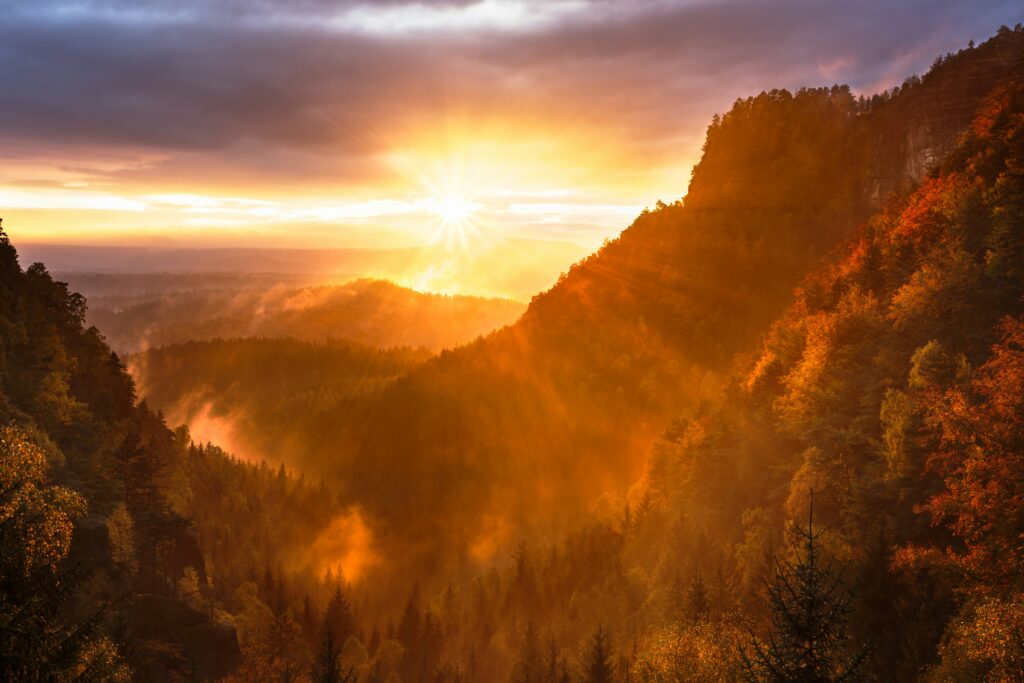artem sapegin 8c6eS43iq1o unsplash