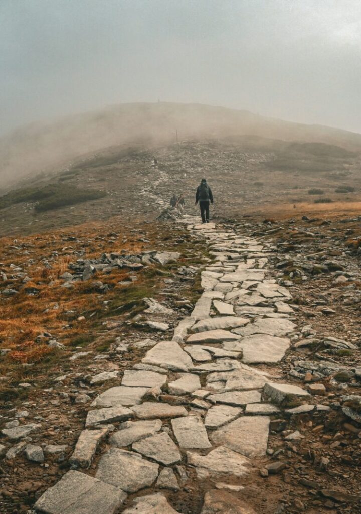 sylwia bartyzel ECegKU hfSM unsplash scaled e1777477761382
