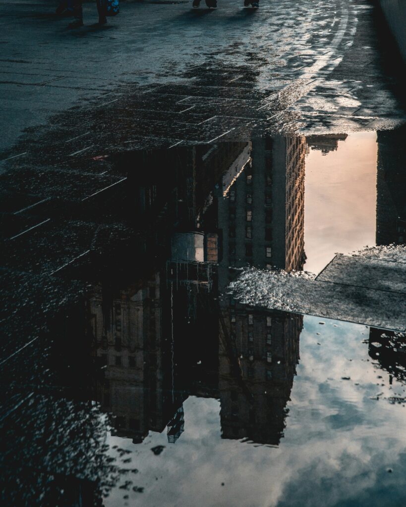 No More Artificial Webs: Living From The Reality Of Who We Are In Christ 3 dan calderwood GJez8OZsyec unsplash