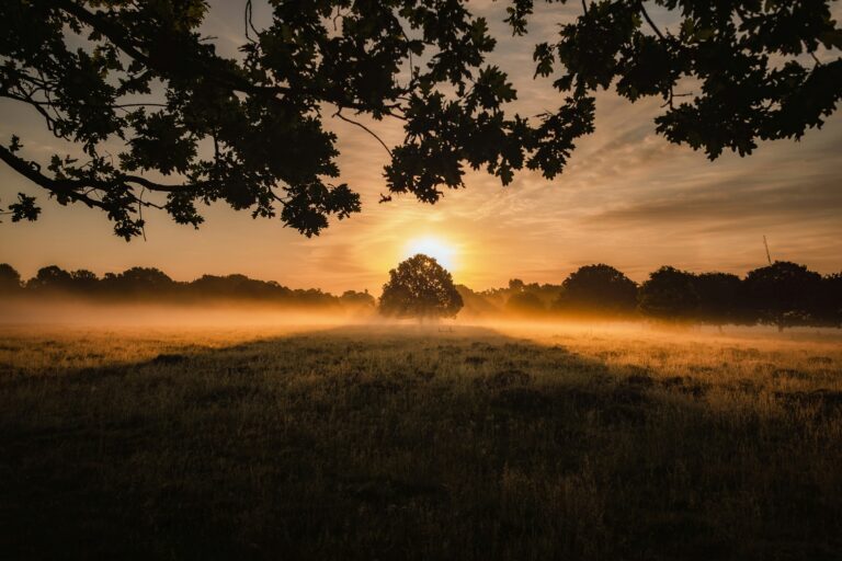 Photo Credit: Simon Wilkes, Unsplash.