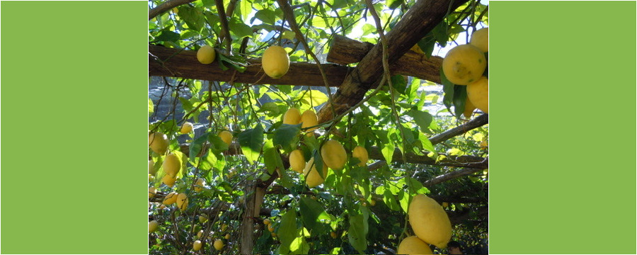 Lauren Howard: Senior Trip Experience Revealed The Richness Of God'S World 13