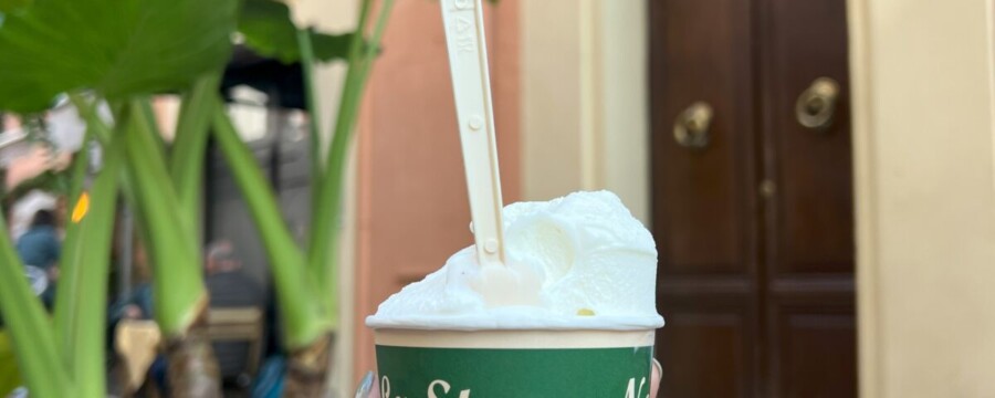 Lauren Howard: Senior Trip Experience Revealed The Richness Of God'S World 27