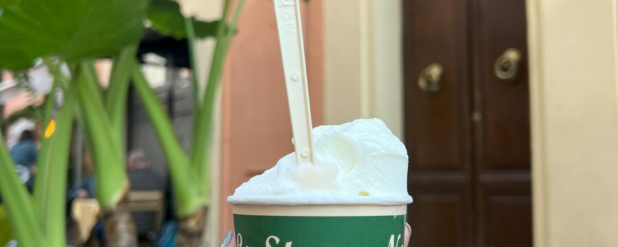 Lauren Howard: Senior Trip Experience Revealed The Richness Of God'S World 27