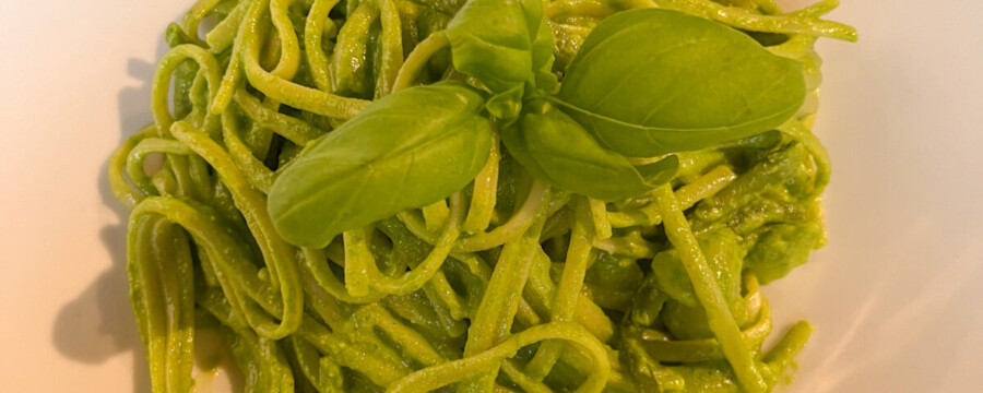 Lauren Howard: Senior Trip Experience Revealed The Richness Of God'S World 28